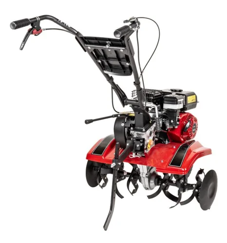 Cedrus CEDRUSGL05 CEDRUSGL05