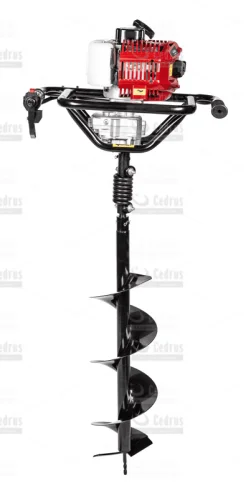 Cedrus Wiertnica glebowa